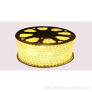 AC110v Micro Color Waterproof Flexible Led Strip Light